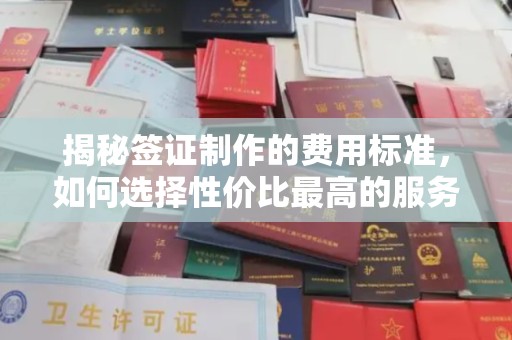 旌阳揭秘签证制作的费用标准，如何选择性价比最高的服务？