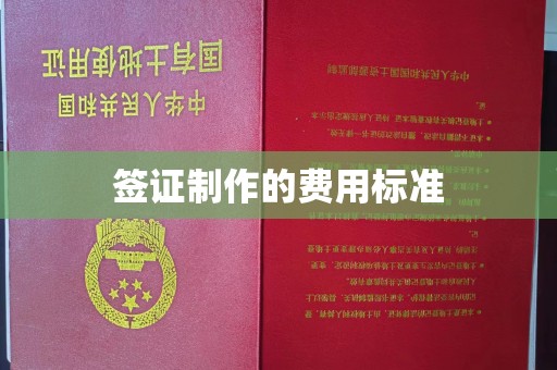 旌阳签证制作的费用标准