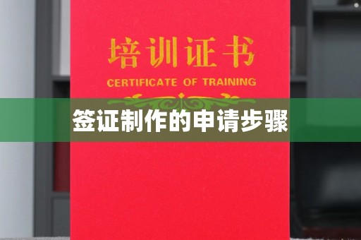 旌阳签证制作的申请步骤