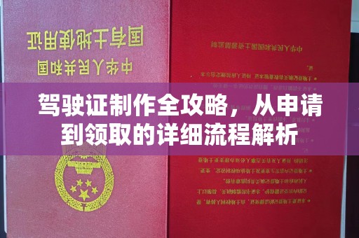 旌阳驾驶证制作全攻略，从申请到领取的详细流程解析